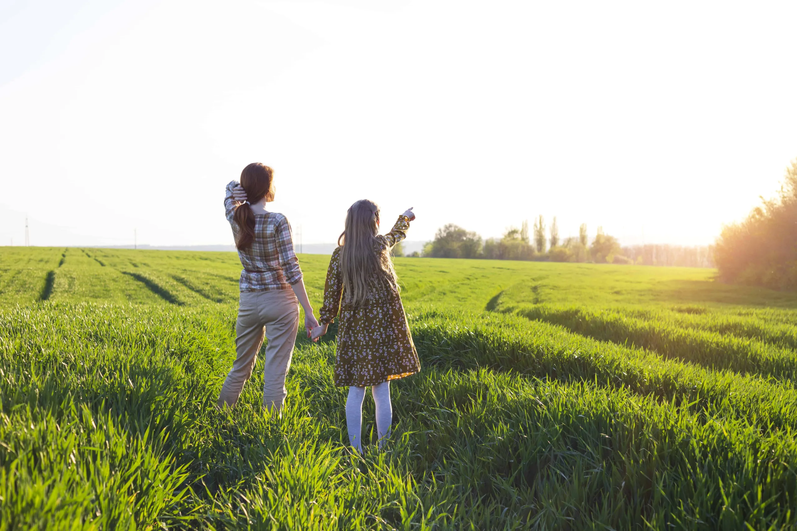 Zwei Personen betrachten Sonnenuntergang auf grünem Feld.